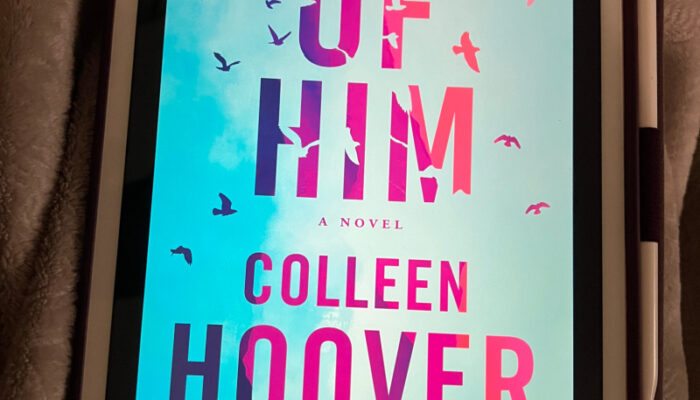 colleen hoover reminders of him
